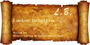 Lantos Brigitta névjegykártya