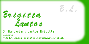 brigitta lantos business card